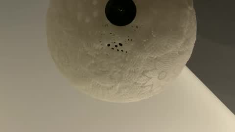 slimguy03 online show from January 28, 3:25 am