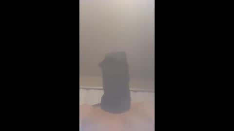 smcock68 online show from April 12, 3:53 am