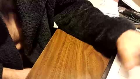 watchmecum online show from February 1, 3:22 pm