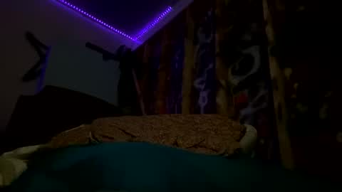 sohan730903 online show from February 15, 7:51 am