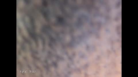 honoko0089 online show from October 20, 5:22 am