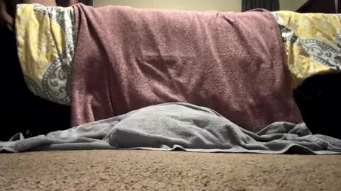 solartouch online show from October 5, 5:11 am