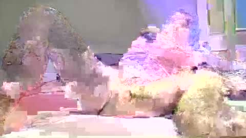 Snapshot of soloman7 chatting on February 15, 11:49 pm jeff online show from February 15, 11:49 pm