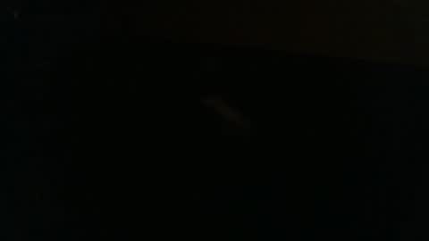 Beep Boop Bot online show from February 22, 7:10 am