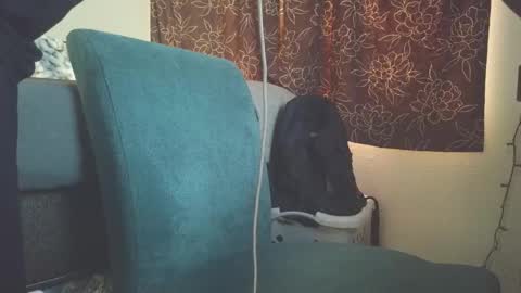 cosmic   online show from January 19, 12:24 am