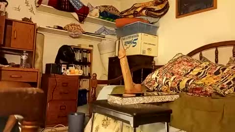 Dick online show from October 28, 7:44 am