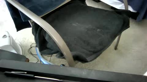 starshiphelm online show from December 12, 7:37 pm