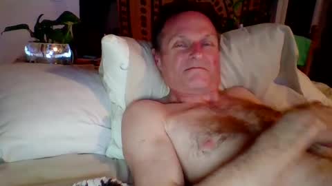 steviehard7 online show from February 4, 4:16 am