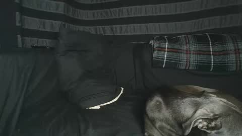 straitpipermann22 online show from October 20, 5:55 am