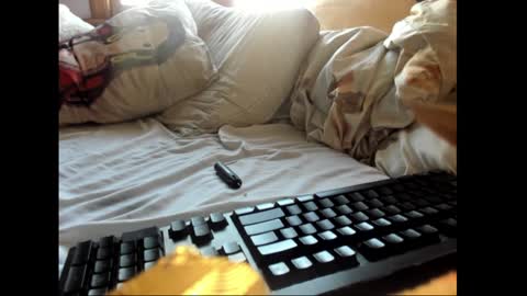 strawboy300 online show from January 17, 7:42 pm