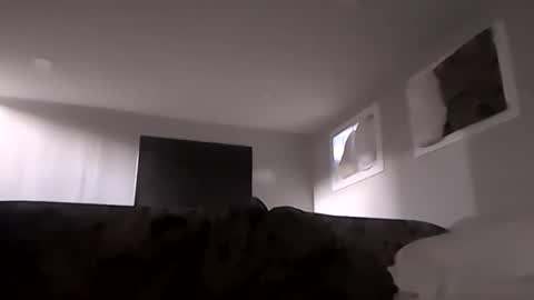 Cumallcumnow online show from March 31, 12:34 am