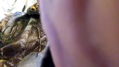 strokingjoe14585 online show from December 2, 2:06 pm