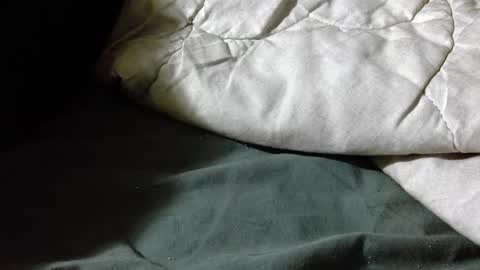 Shy guy online show from April 19, 7:16 pm