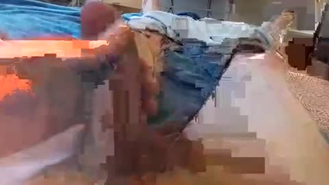 Superchimes online show from February 28, 5:28 am