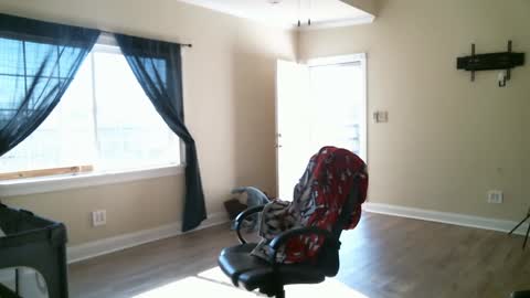 Swals online show from February 2, 4:11 pm