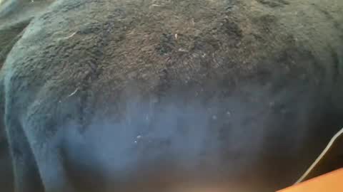 god online show from February 6, 10:53 pm