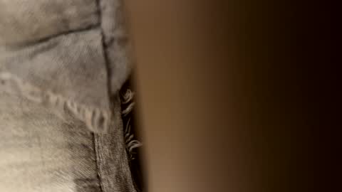 tRex online show from September 25, 4:11 am