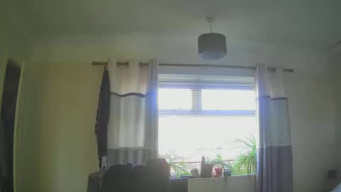 Tas online show from February 2, 1:30 pm