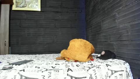  T A U R U S  online show from January 19, 10:17 am