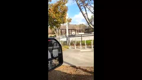 teteretw online show from January 14, 7:50 pm