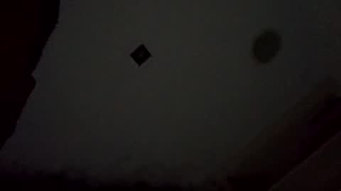 thatguyyoulovetomate online show from January 18, 3:03 pm