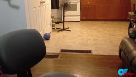 thekodyy online show from July 9, 9:24 am