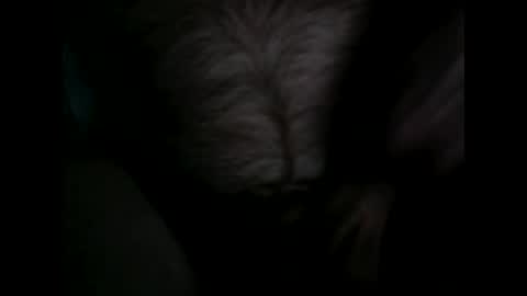 thick9dtf online show from November 7, 4:05 am