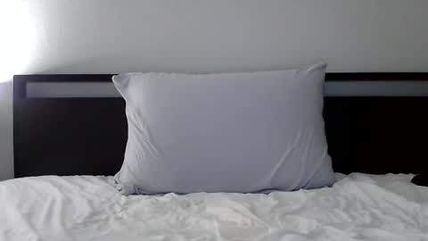 thickkredd8 online show from February 8, 3:56 am