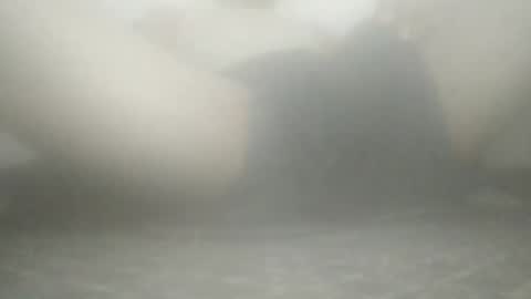 tiger005588 online show from November 21, 9:08 am