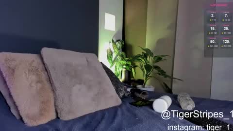 Chris online show from January 27, 11:33 pm