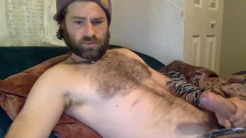 tigerzaddy online show from December 16, 1:54 pm