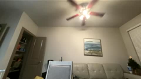 tittielover12347 online show from January 8, 1:00 am