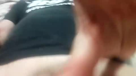 Bom online show from November 12, 8:53 am