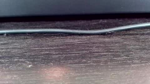 Vasiliy online show from February 24, 5:21 am