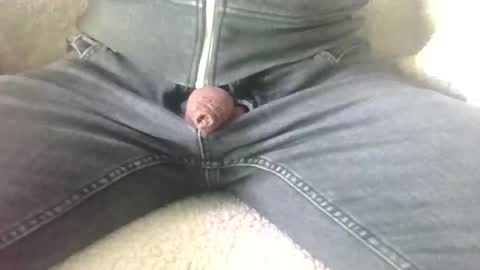 traeumer2024 online show from January 15, 8:20 am