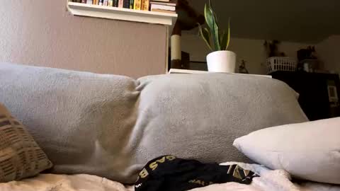 trickydick6 online show from February 18, 7:55 pm