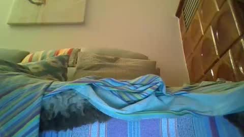 twiga72 online show from February 6, 8:28 pm