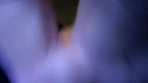 uwannnas online show from March 14, 1:18 pm