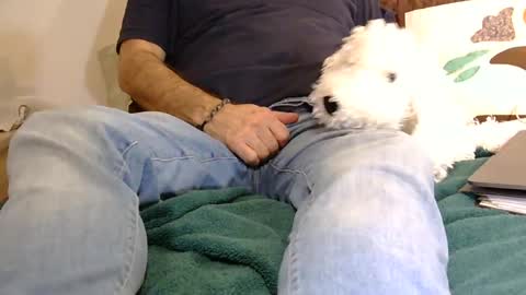 Vicking online show from January 18, 1:34 am