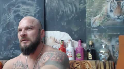 viking online show from November 5, 9:17 pm