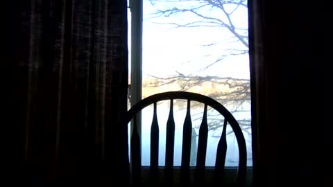 wahassa online show from March 20, 11:47 am