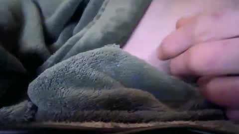 wallsend74 online show from January 7, 2:38 am