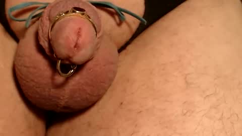 wants online show from February 2, 12:46 pm