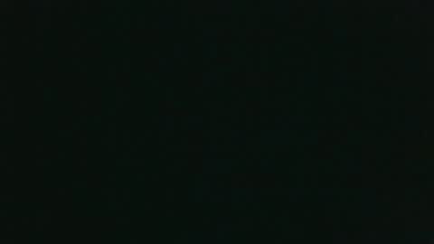 whitehead_lion online show from February 13, 10:26 pm