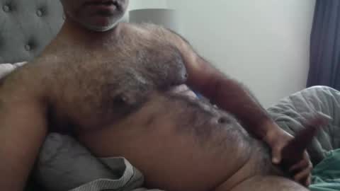 wildhungry online show from November 19, 7:03 pm