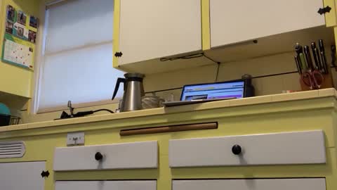 William online show from November 7, 3:26 pm