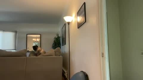 wilmnor online show from November 15, 7:27 pm