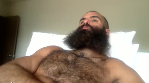 woof_wolf37 online show from April 16, 10:56 pm