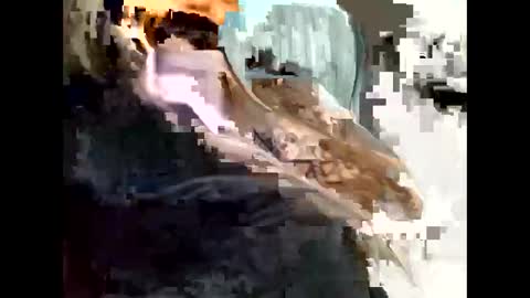 Blk online show from April 12, 11:05 pm