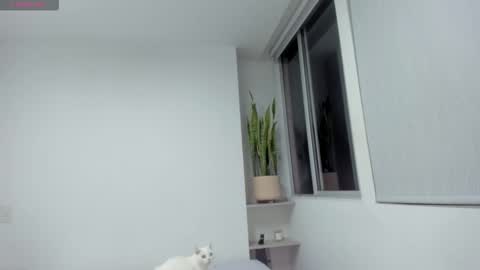 Xavier online show from December 13, 11:33 pm